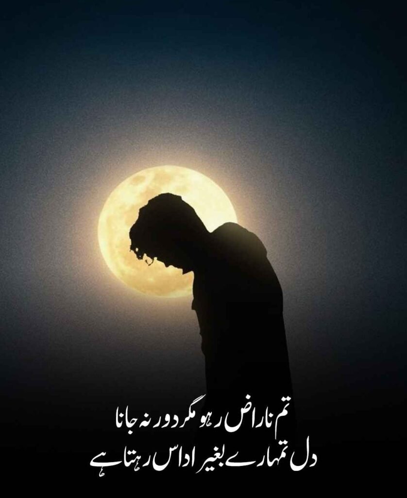 Best Narazgi 2 Line Shayari for Status