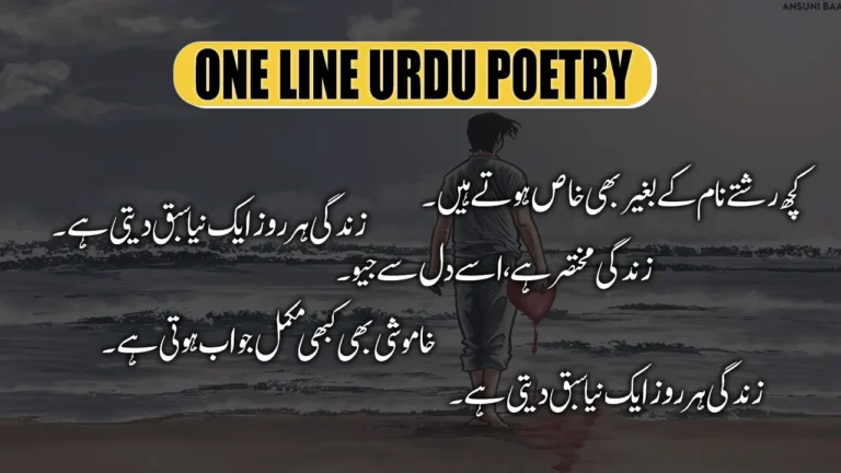 100+ One Line Poetry in Urdu - Best Love 1 Line Urdu Shayari
