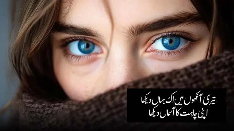 120+ Poetry on Eyes in Urdu - آنکھوں پر شاعری