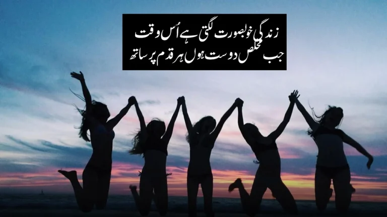 150+ Best Friends Poetry in Urdu - Dosti Shayari شاعری