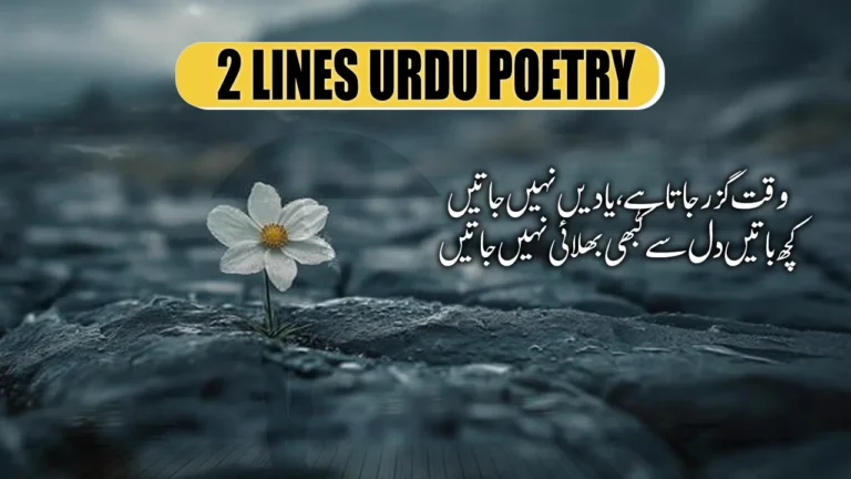 2 Lines Urdu Poetry - 120+ Best 2 Lines shayari شاعری