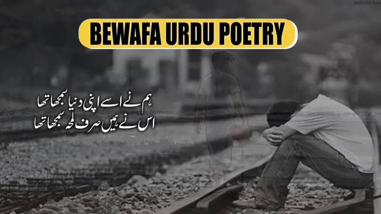 Bewafa Poetry in Urdu - 2 Lines Bewafa Shayari بےوفا شاعری
