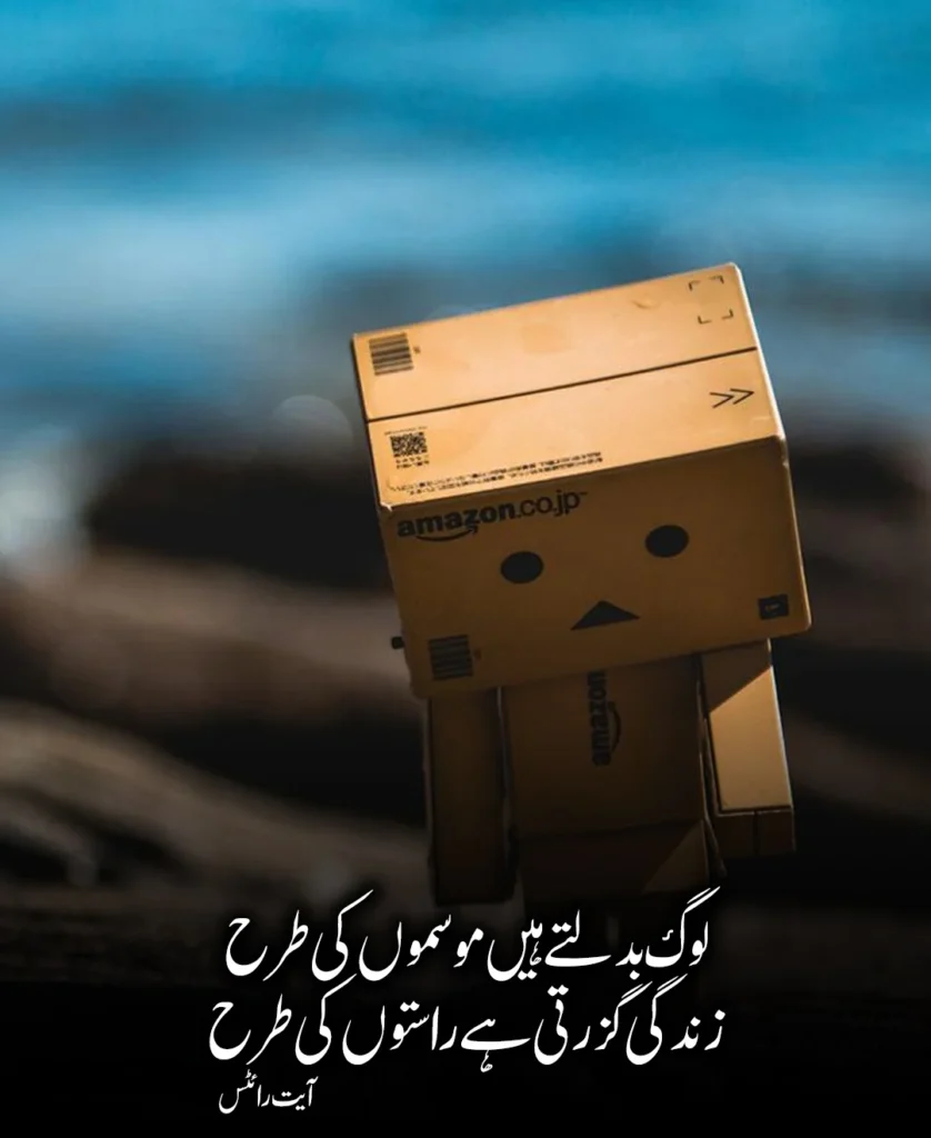 Reality of Life Poetry in Urdu