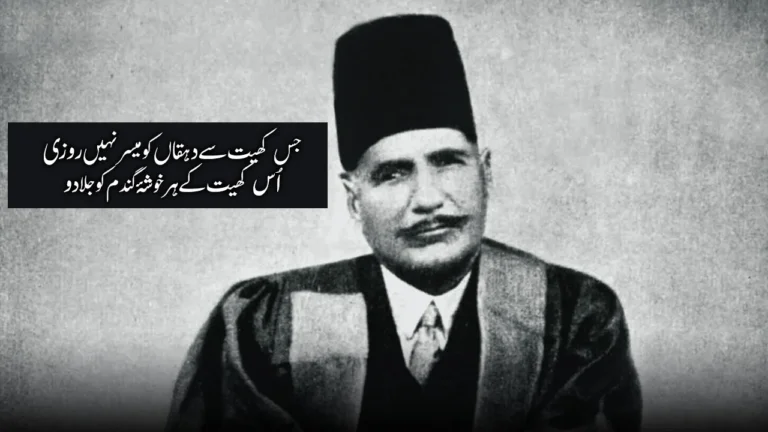 Top 10 Allama Iqbal Famous Poetry in Urdu - علامہ اقبال شاعری